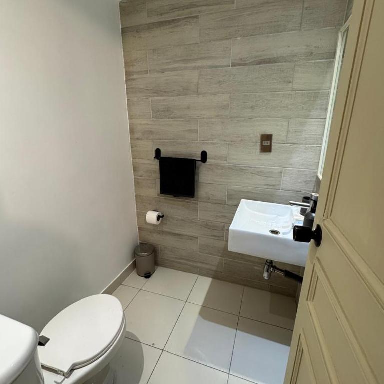 Spacious and cozy 2 room apartment in Providencia - Two-Bedroom Apartment - 13