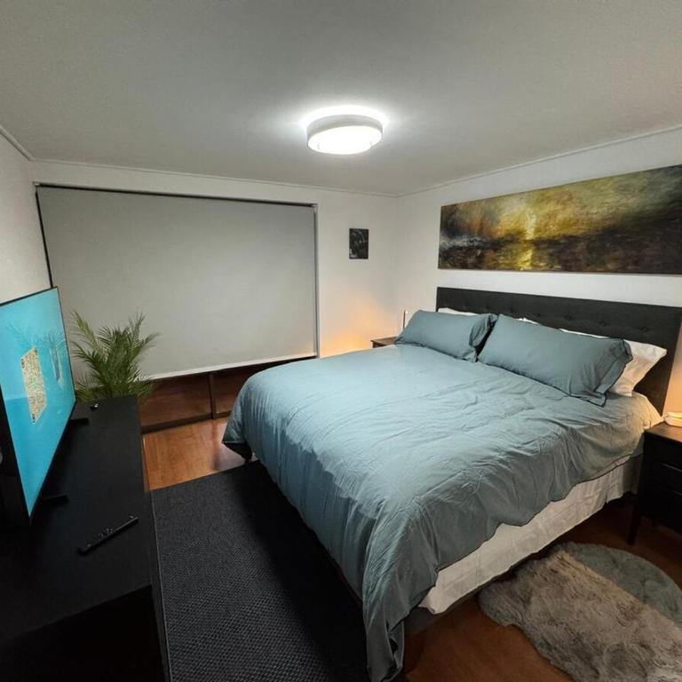 Spacious and cozy 2 room apartment in Providencia - Two-Bedroom Apartment - 15