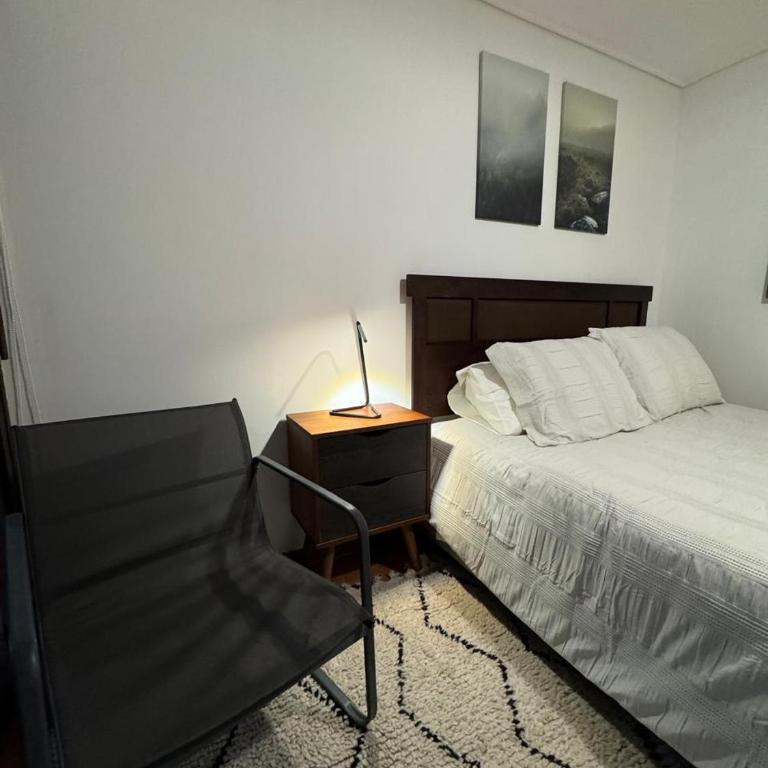 Spacious and cozy 2 room apartment in Providencia - Two-Bedroom Apartment - 18
