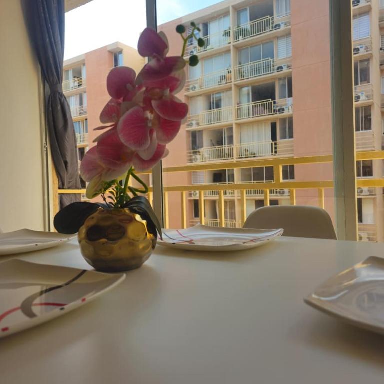 Apartamento 801 - VILLA BOLIVARIANA - Apartamento de 3 dormitorios - 9