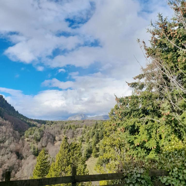 Cabaña Muyal - Casa con 1 dormitorio - 6