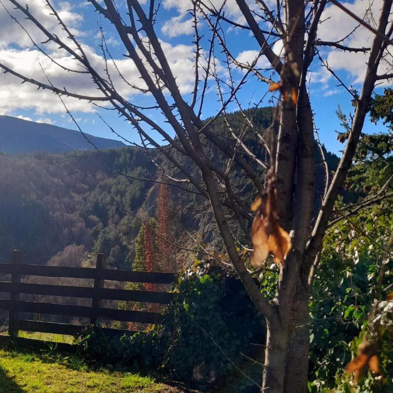 Cabaña Muyal - Casa con 1 dormitorio - 11