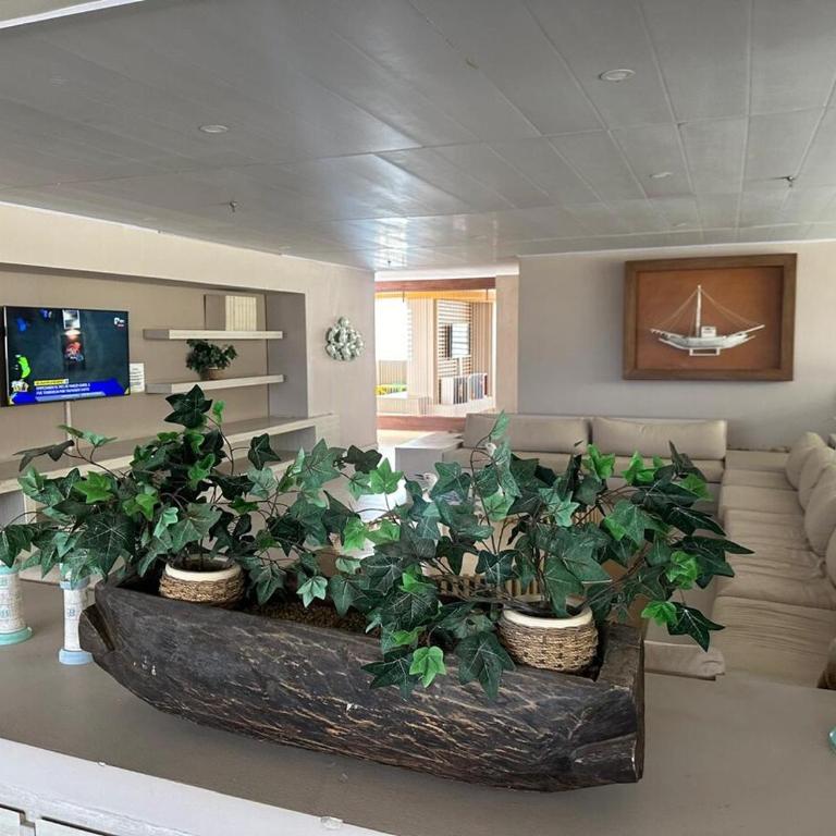 The pearl of Santa Marta, Caribbean Sea view - Apartamento de 1 dormitorio con vistas al mar - 50