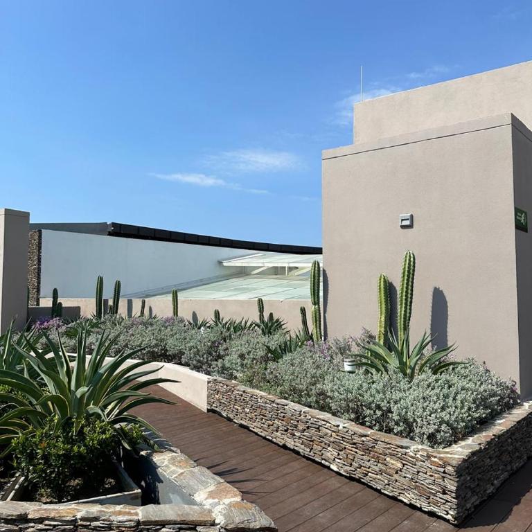 The pearl of Santa Marta, Caribbean Sea view - Apartamento de 1 dormitorio con vistas al mar - 64