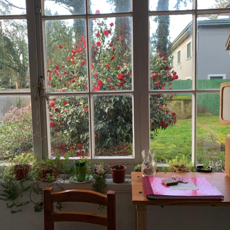 Hospedaje en borde río - Quadruple Room - 2