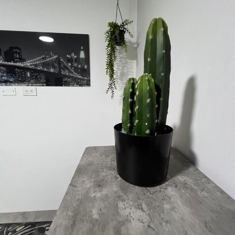 Aparta Suites La Flora- Infinity Living - Apartamento de 2 dormitorios - 59