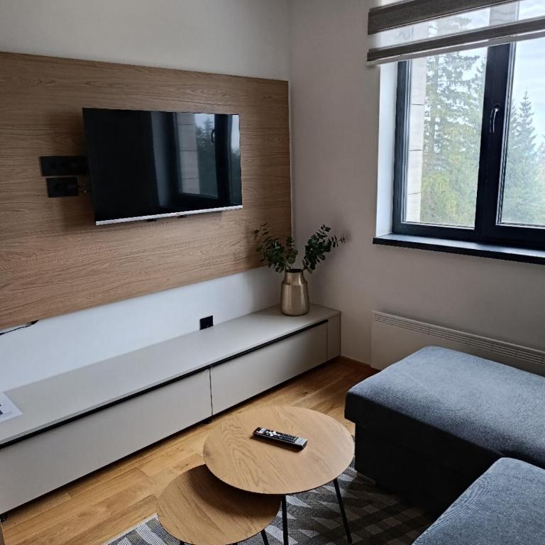 Apartmani Stella Jahorina - Apartment with Mountain View - 22