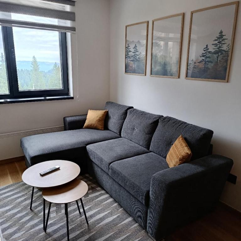 Apartmani Stella Jahorina - Apartment with Mountain View - 18