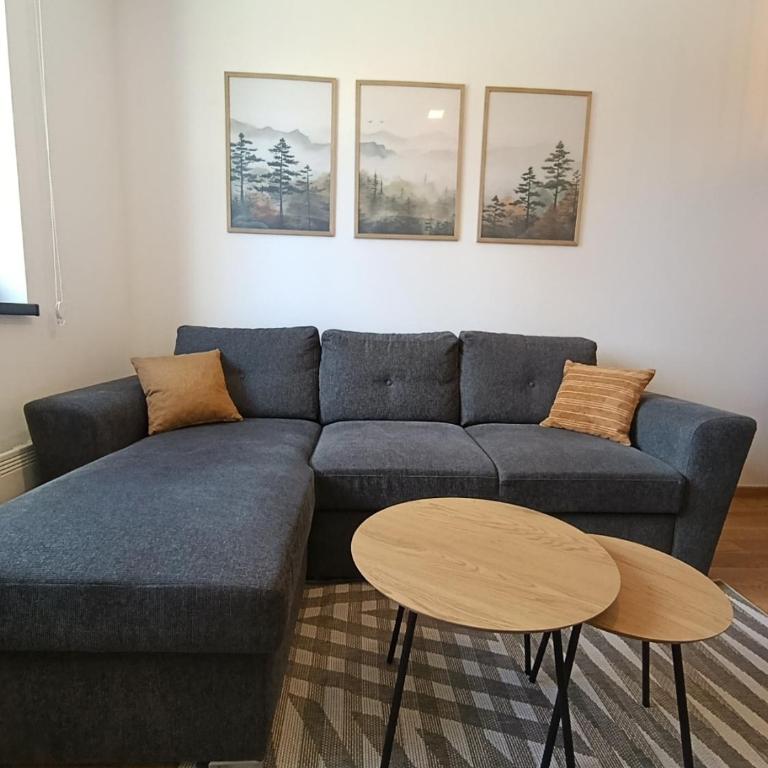 Apartmani Stella Jahorina - Apartment with Mountain View - 17