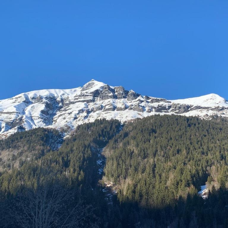Individual chalet for up to 12 people maximum - Chalet - 35