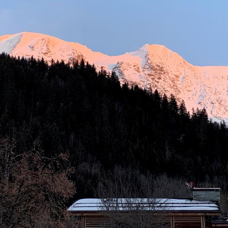 Individual chalet for up to 12 people maximum - Chalet - 37