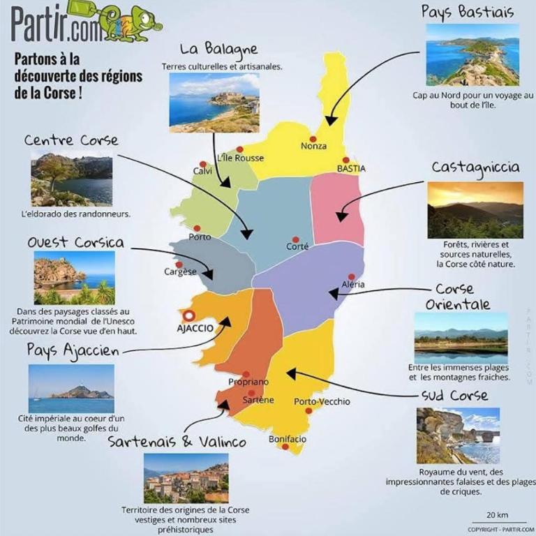 Superbe Pieds dans l eau ajaccio face à la mer plage de sable fin route des îles des sanguinaires - Appartement 1 Chambre - 19