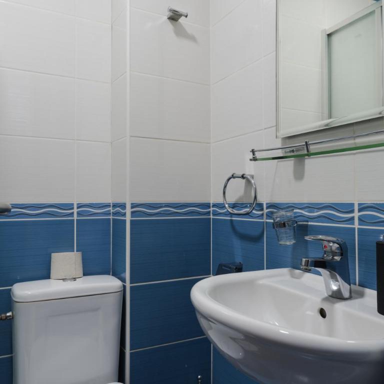 Apartmani Šumadija 17 - Studio sa Terasom - 2