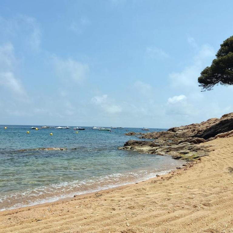 Thegoldsand Cala Salions Tossa de Mar - Apartamento de 3 dormitorios - 21