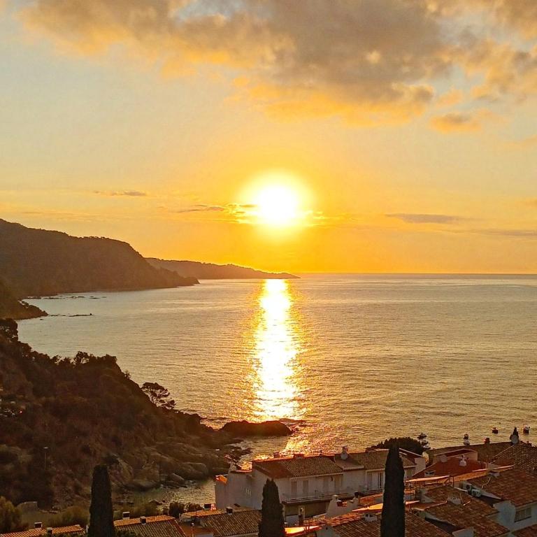 Thegoldsand Cala Salions Tossa de Mar - Apartamento de 3 dormitorios - 18