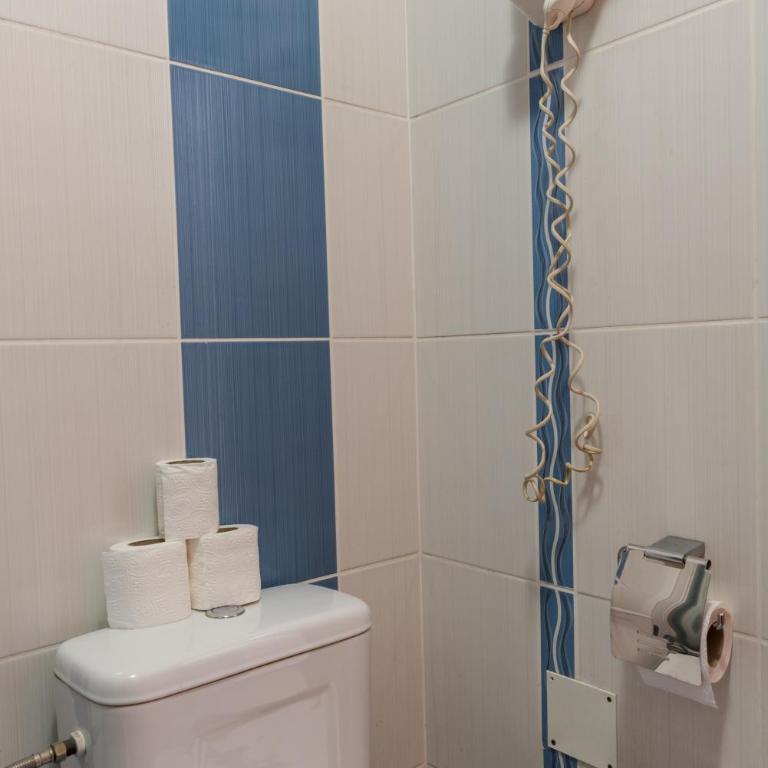 Apartmani Šumadija 17 - Apartman s 1 Spavaćom Sobom i Balkonom - 3