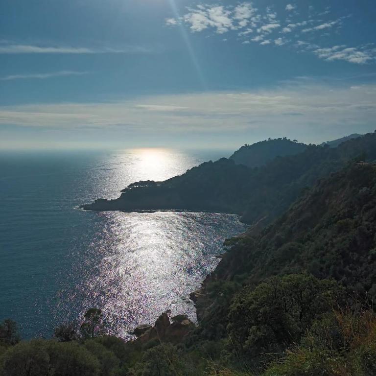 Thegoldsand Cala Salions Tossa de Mar - Apartamento de 3 dormitorios - 8