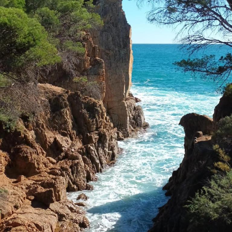 Thegoldsand Cala Salions Tossa de Mar - Apartamento de 3 dormitorios - 7
