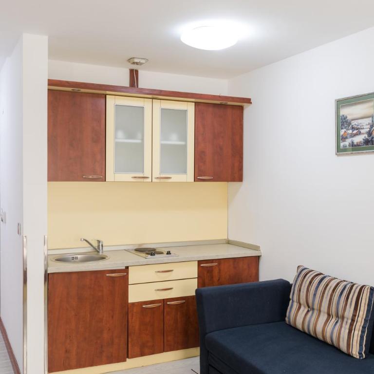 Apartmani Šumadija 17 - Studio - 2