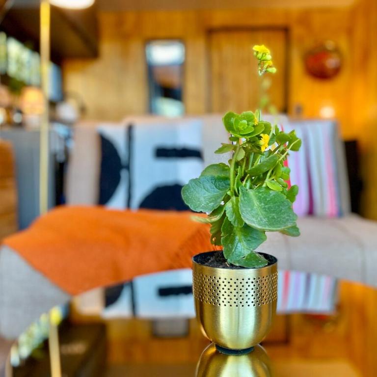 Cozy, tiny house, walking distance from the ocean - Casa con 1 dormitorio - 39