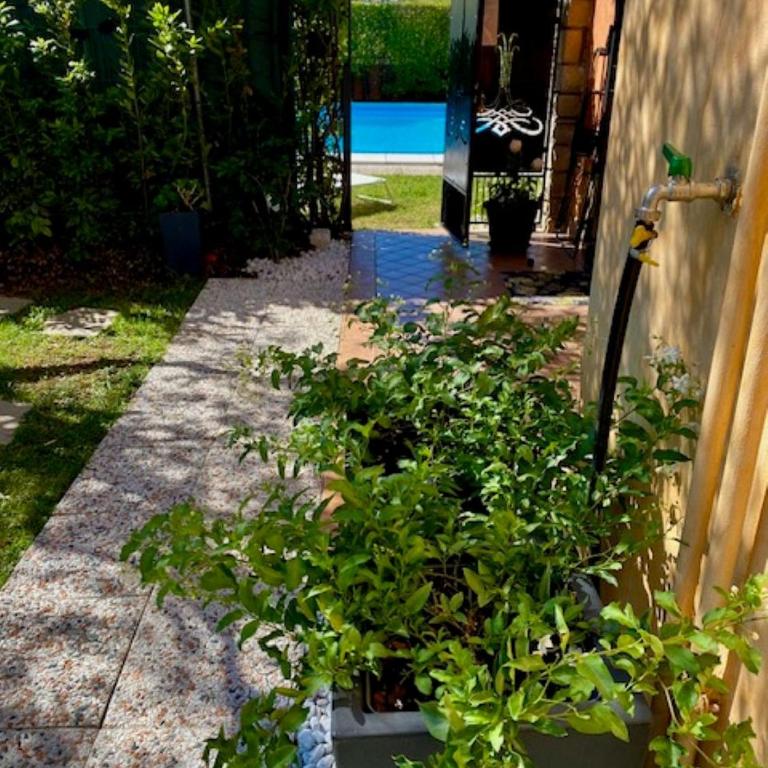 Piccolo Sogno - Appartamento con 1 Camera da Letto - 16