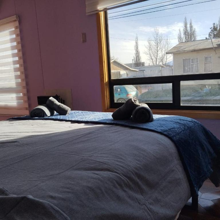 Ksolt-Zorzales - Apartamento de 1 dormitorio - 2