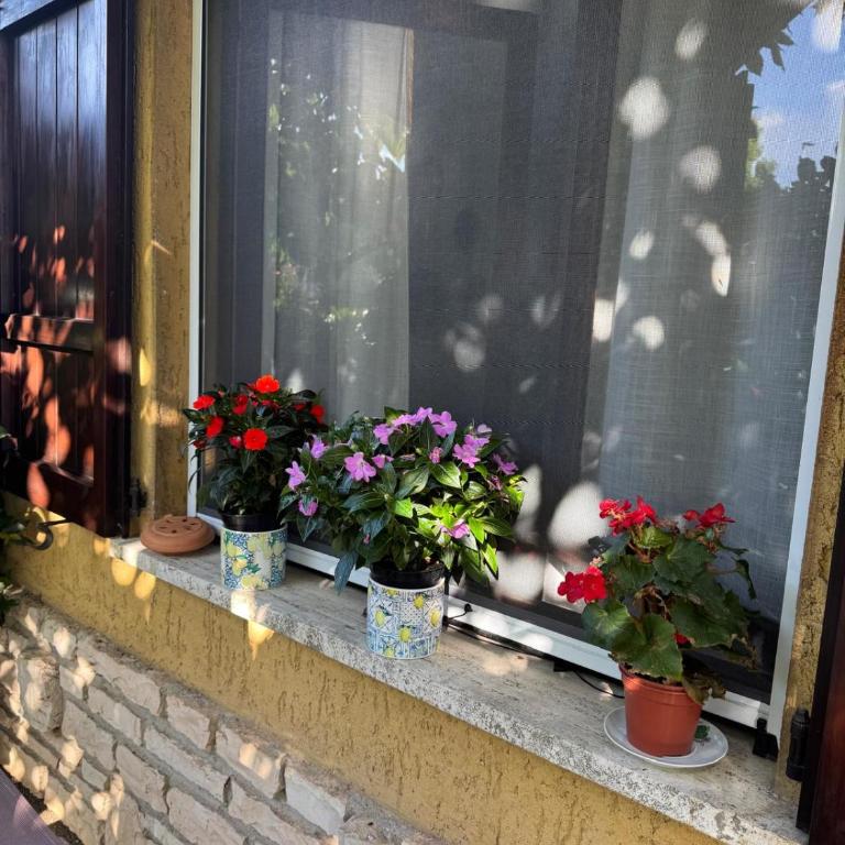 Mia's House on Lake Garda - Two-Bedroom House - 16
