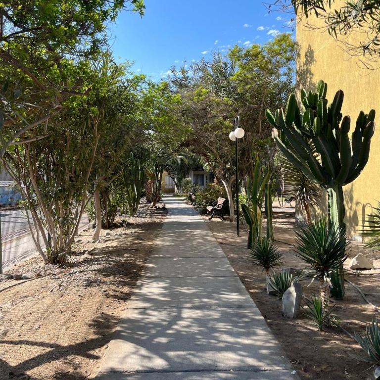 Arriendo por días condominio Arica - Apartamento de 3 dormitorios - 2