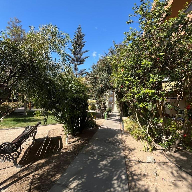 Arriendo por días condominio Arica - Apartamento de 3 dormitorios - 10