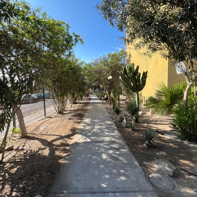 Arriendo por días condominio Arica - Apartamento de 3 dormitorios - 21