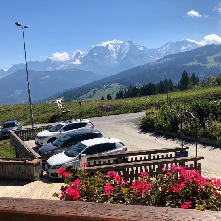 Appartement 10 personnes au pied des pistes vue Mont Blanc - Appartement avec Vue sur la Montagne - 7
