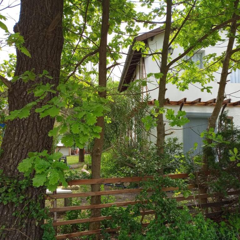 Casa en La Caleta - Casa - 20