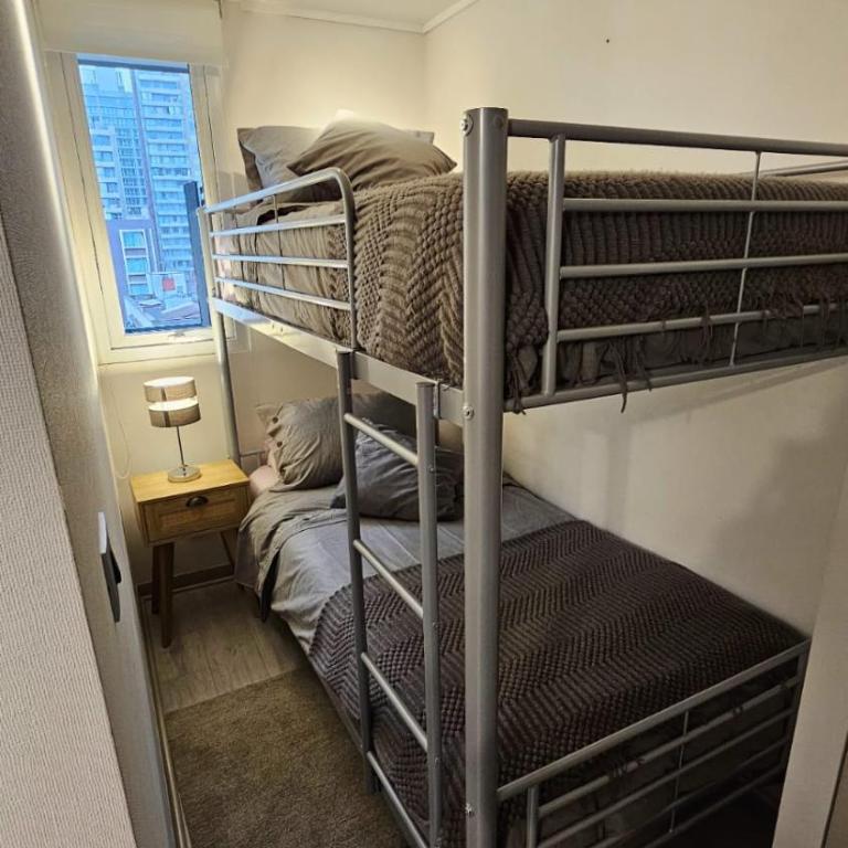 HOM Centrico y Moderno Depto 2D2B 3PAX Santiago - Apartamento - 50