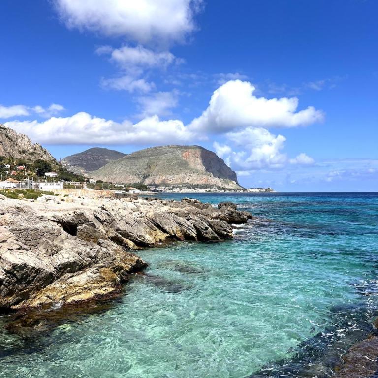 Nuovo appartamento sul mare immerso nel verde - Appartamento con 1 Camera da Letto - 5