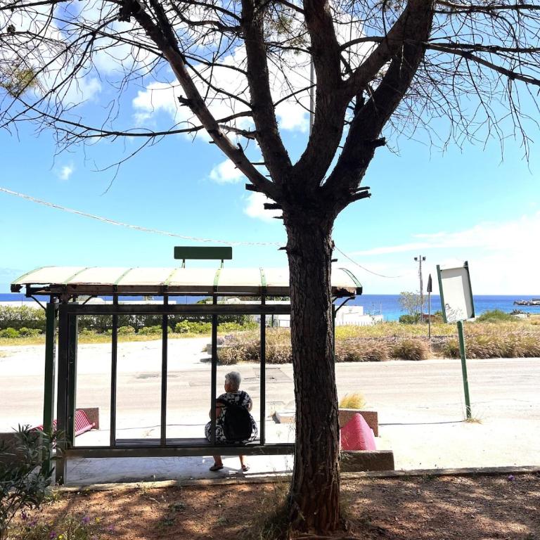 Nuovo appartamento sul mare immerso nel verde - Appartamento con 1 Camera da Letto - 12