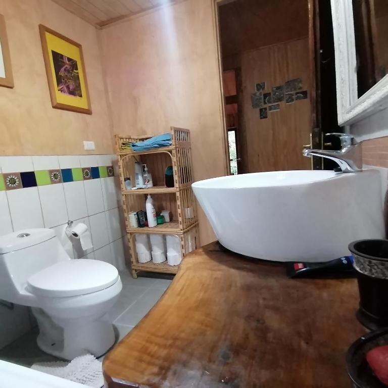 Cabaña Conguillío - Two-Bedroom Apartment - 18