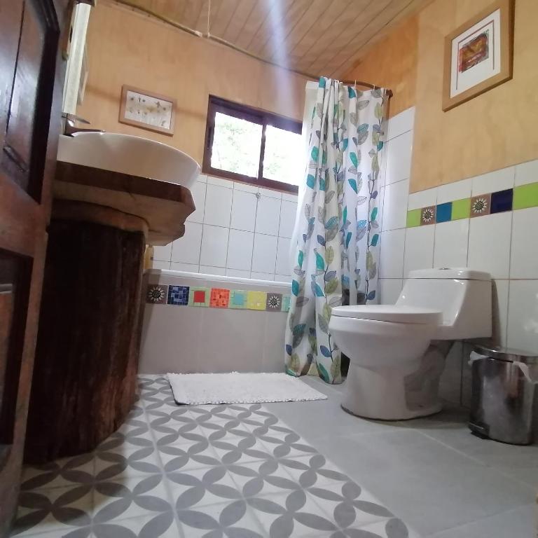 Cabaña Conguillío - Two-Bedroom Apartment - 17