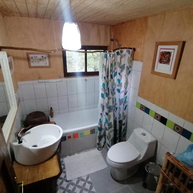 Cabaña Conguillío - Two-Bedroom Apartment - 16