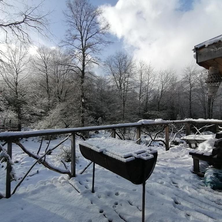 Cabaña Conguillío - Two-Bedroom Apartment - 10