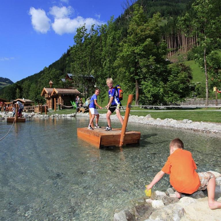 Apartment in Hüttschlag near Ski Bus - Apartment mit 1 Schlafzimmer - 18