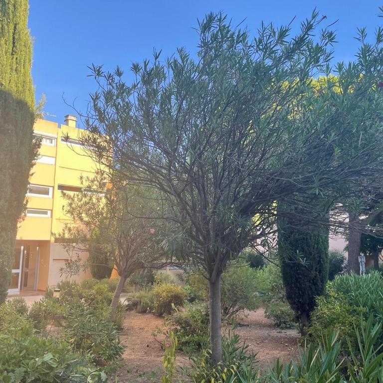 2 bedroom apartment near the sea with parking - Appartement 2 Chambres - 10