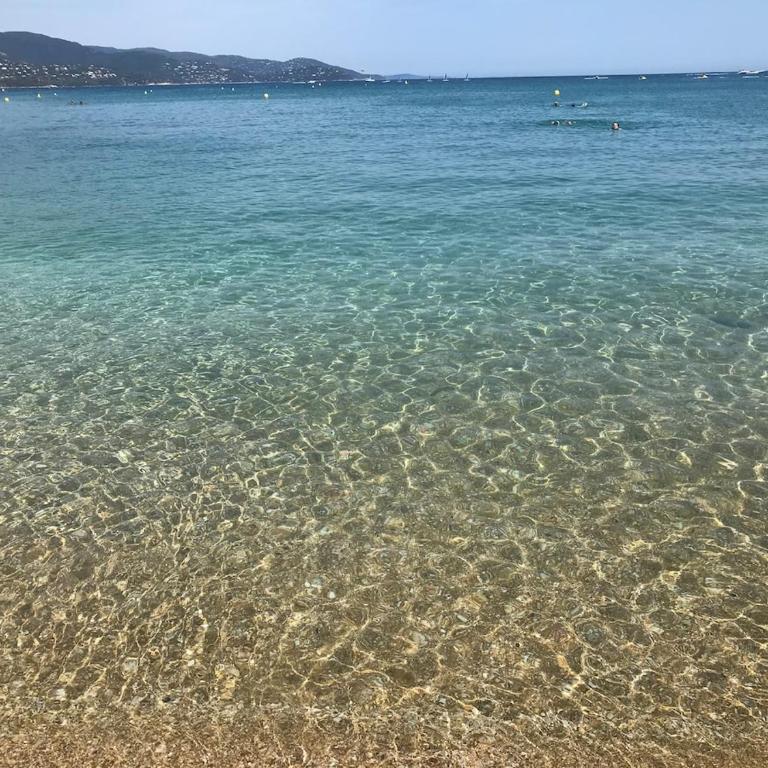 2 bedroom apartment near the sea with parking - Appartement 2 Chambres - 11