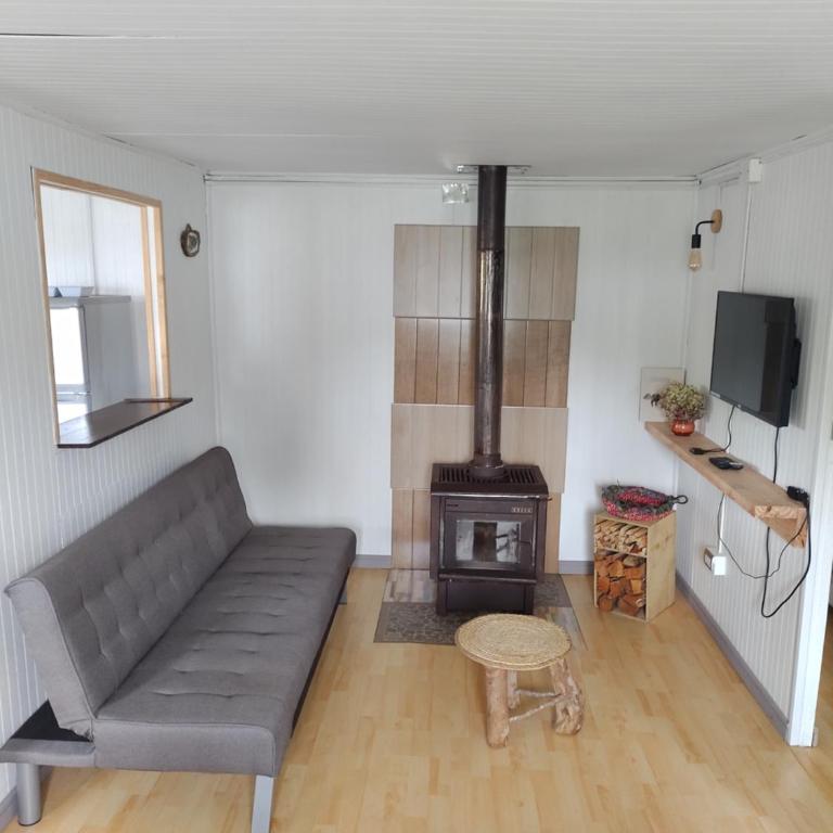 Cabaña Ruta Petrohue - Two-Bedroom Apartment - 25