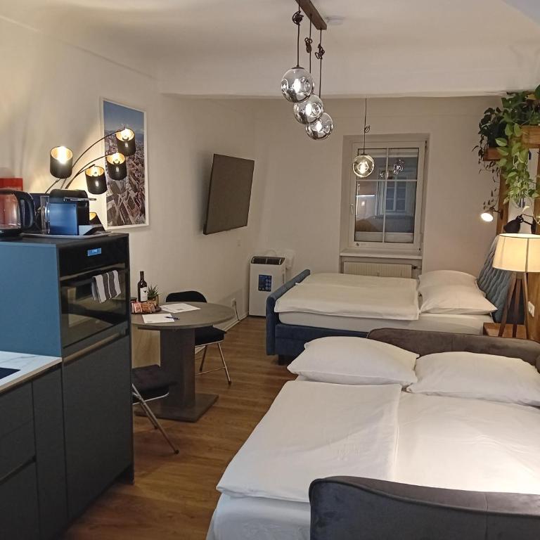 Lidmansky 3 - Tinyhomes Klagenfurt - Studio - 14
