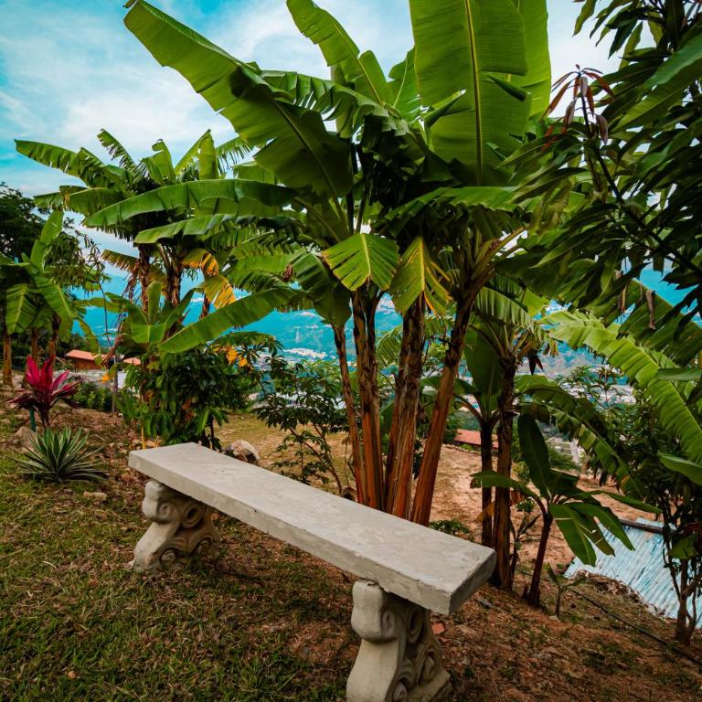 GREEN APARTMEN "El Jardín" - Apartamento de 1 dormitorio - 20