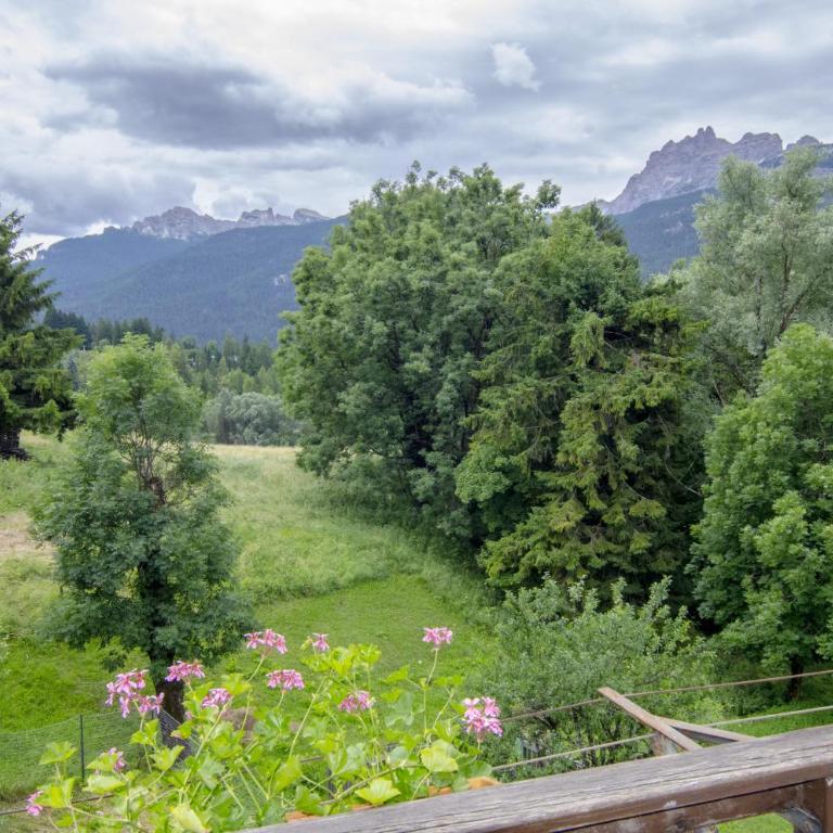 Casa Alpina centrale con vista sulle Dolomiti - Apartment mit Blick auf die Berge - 17