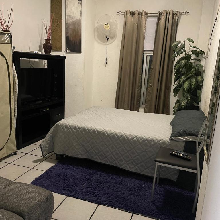 Centro Histórico Olas Altas - Two-Bedroom Apartment - 9