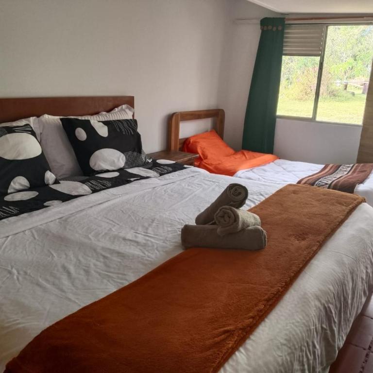 Hospedaje y Zona de Camping Pistacho - Family Room with Bathroom - 2