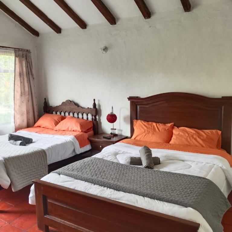 Hospedaje y Zona de Camping Pistacho - Twin Room - 2