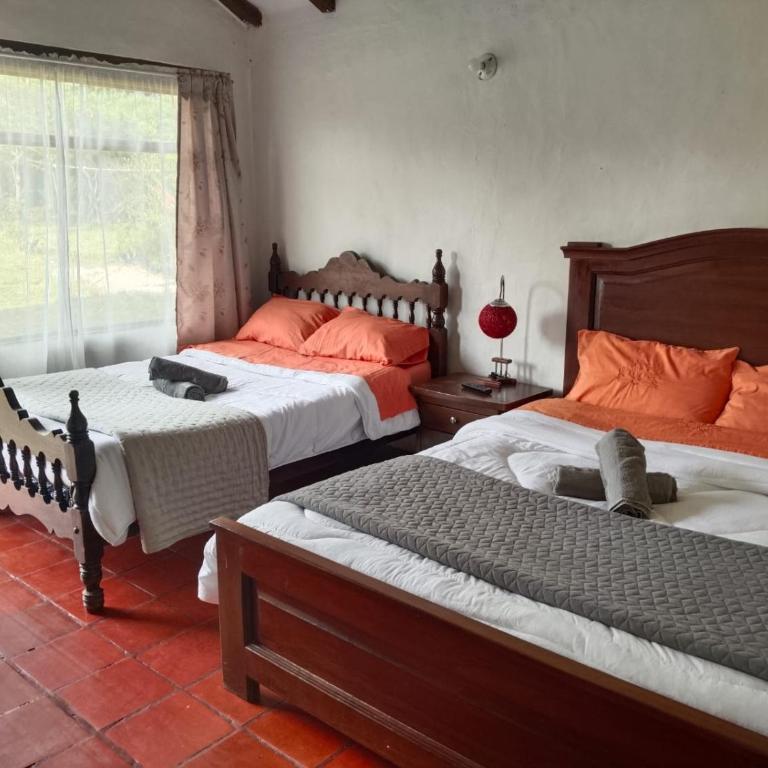 Hospedaje y Zona de Camping Pistacho - Twin Room - 1